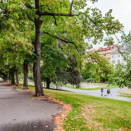 Lejlighed Blueground Vinohrady Close To Namesti Miru Prg-2 *